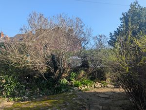 Photo 16- click for photo gallery